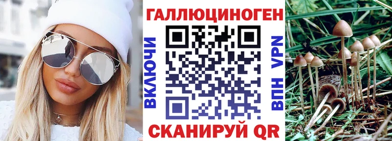 закладка  Нариманов  Галлюциногенные грибы ЛСД 