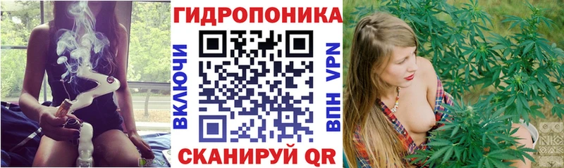 Шишки марихуана сатива  Нариманов 